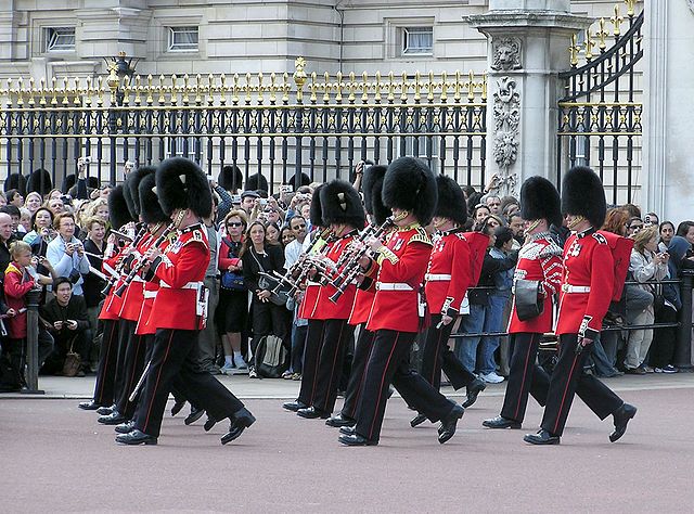 Guards mounting at Buckingham Palace (or in need of hot water).